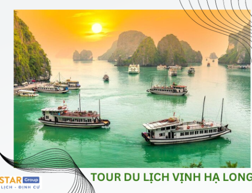 TOUR DU LỊCH VỊNH HẠ LONG